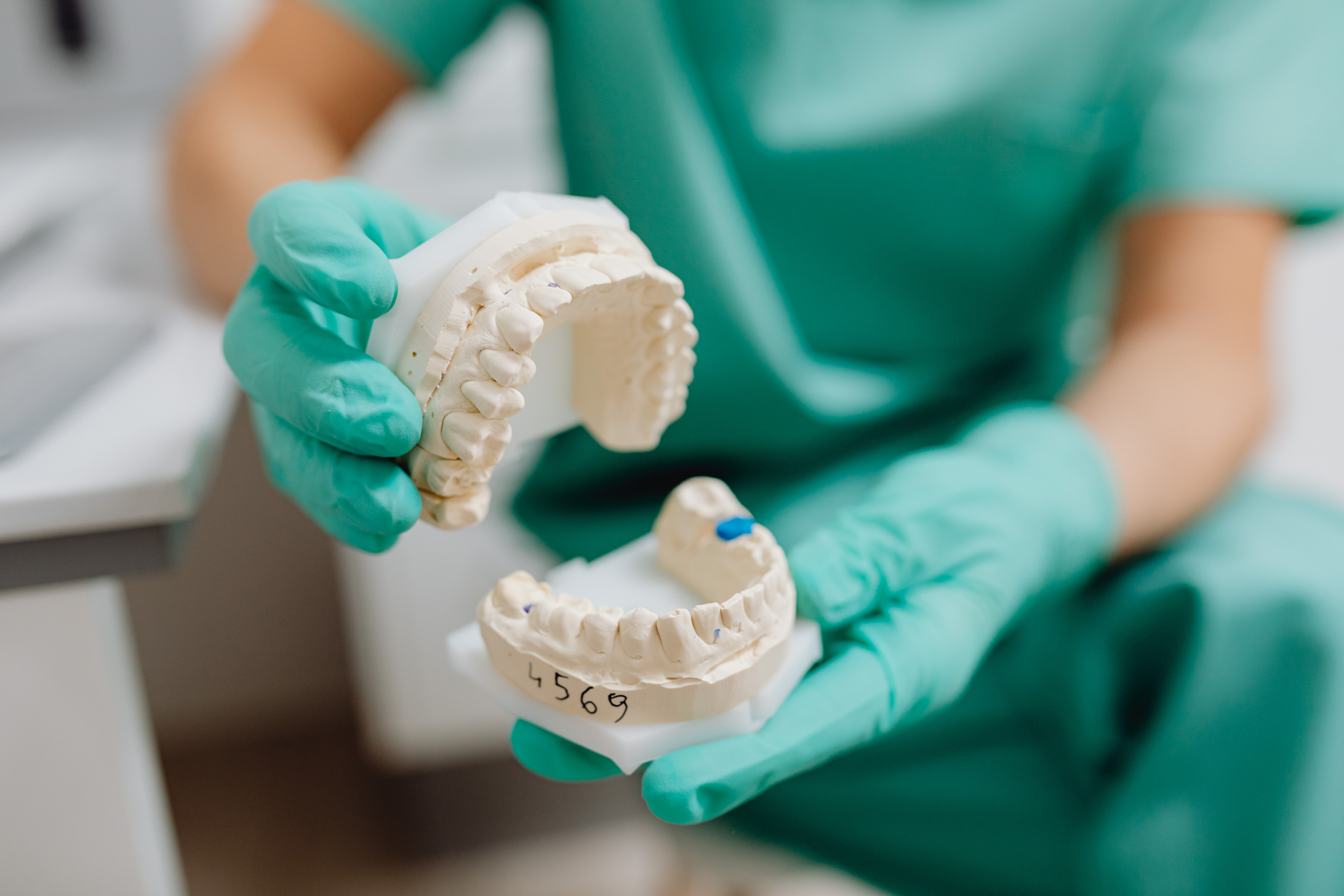 A Dentist Holding a Dental Cast